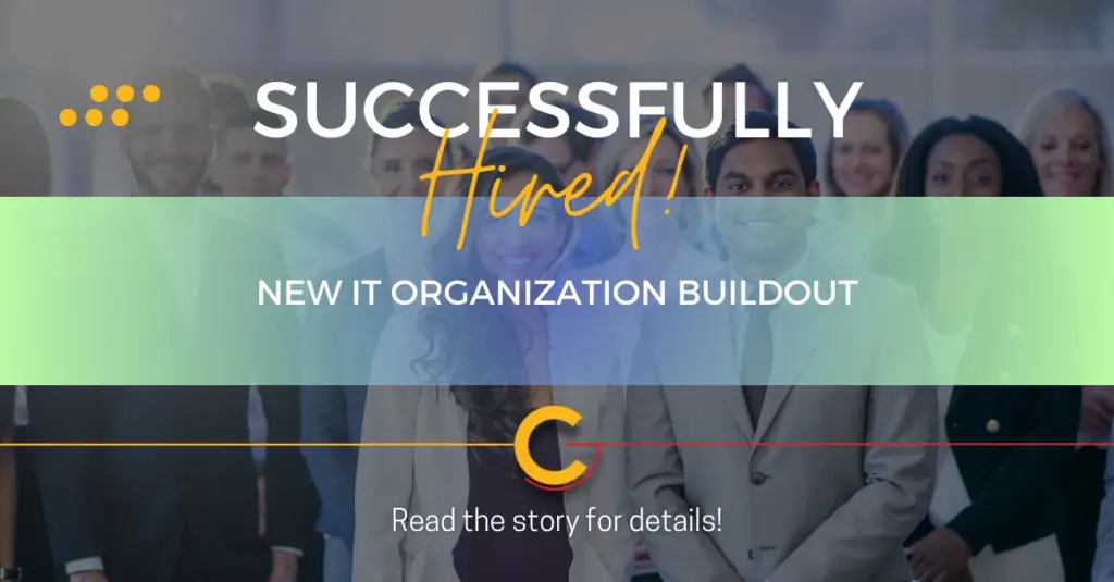 New IT Organization Buildout 2
